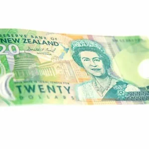 Prop Money New Zealand 20 Note